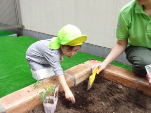 Our flowers and vegetable garden！