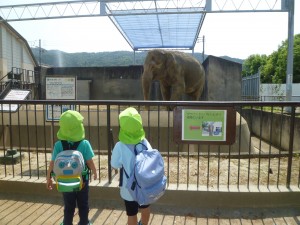 モルガン先生達と京都市動物園へ～♪