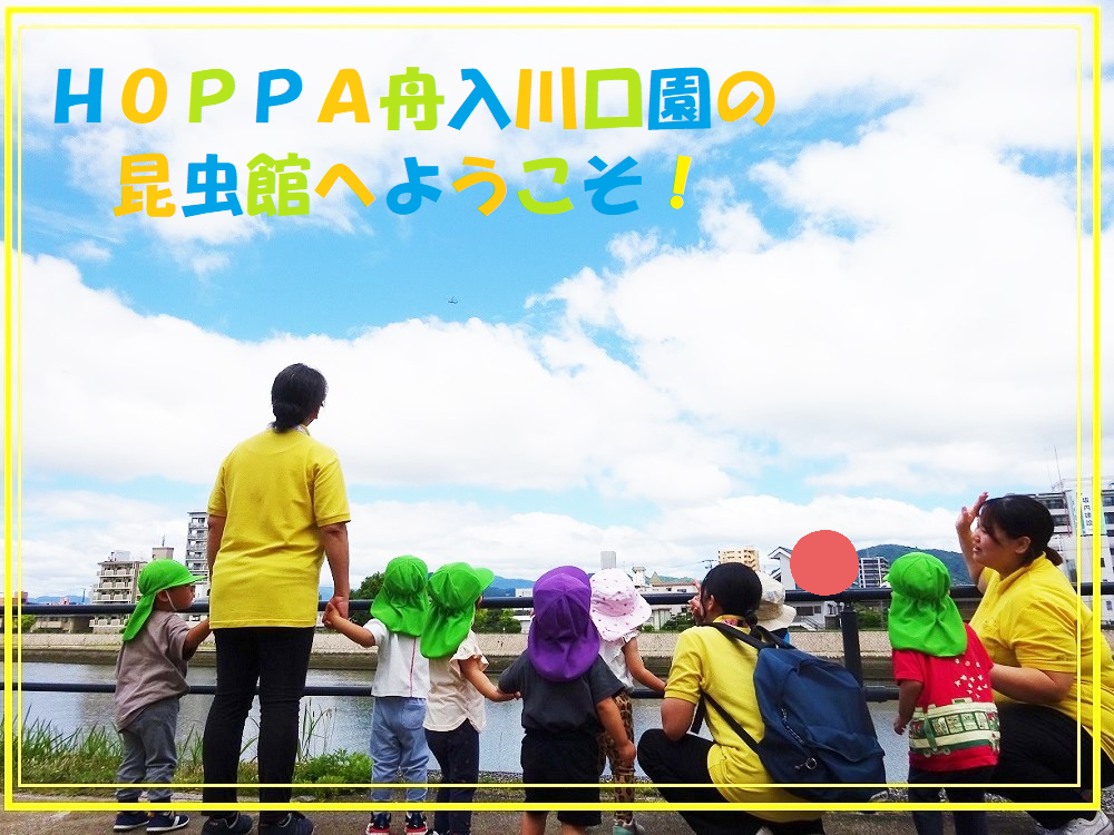 【動画あり】HOPPA舟入川口園の昆虫館へようこそ！