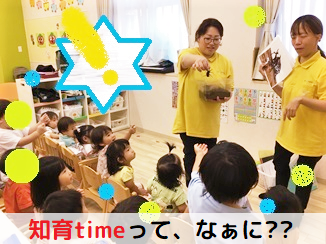 知育timeって、なぁに⁇