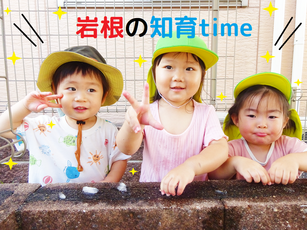 岩根の知育time