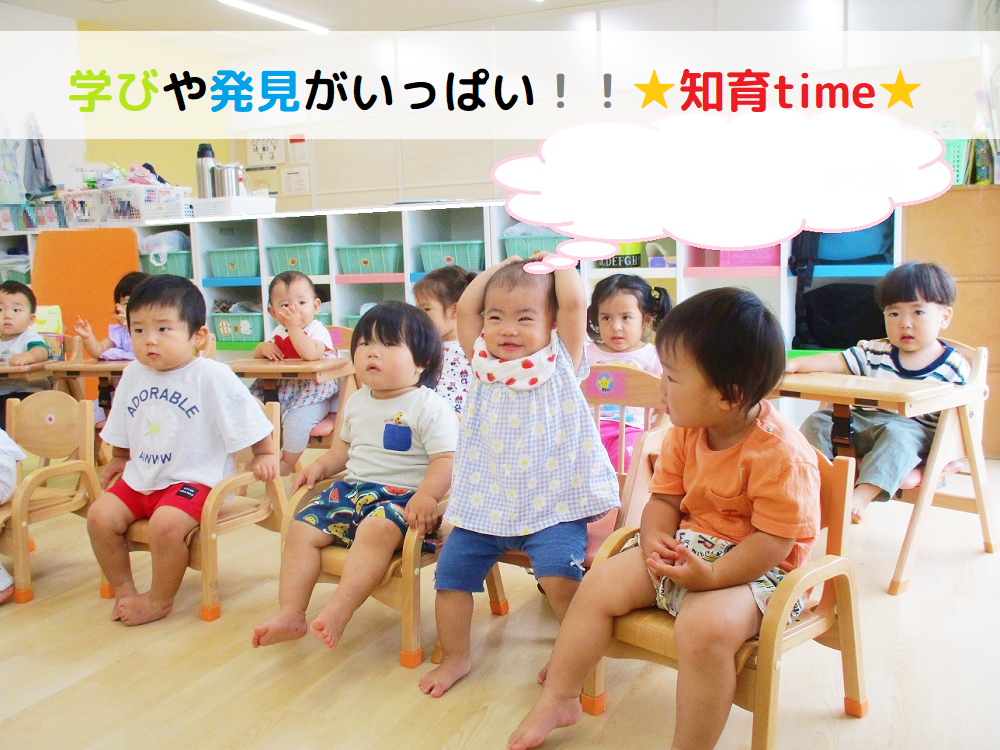 学びや発見がいっぱい！！★知育time★