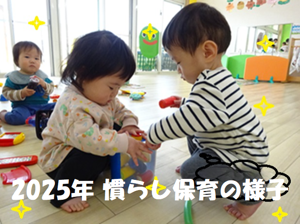 2025年 慣らし保育の様子