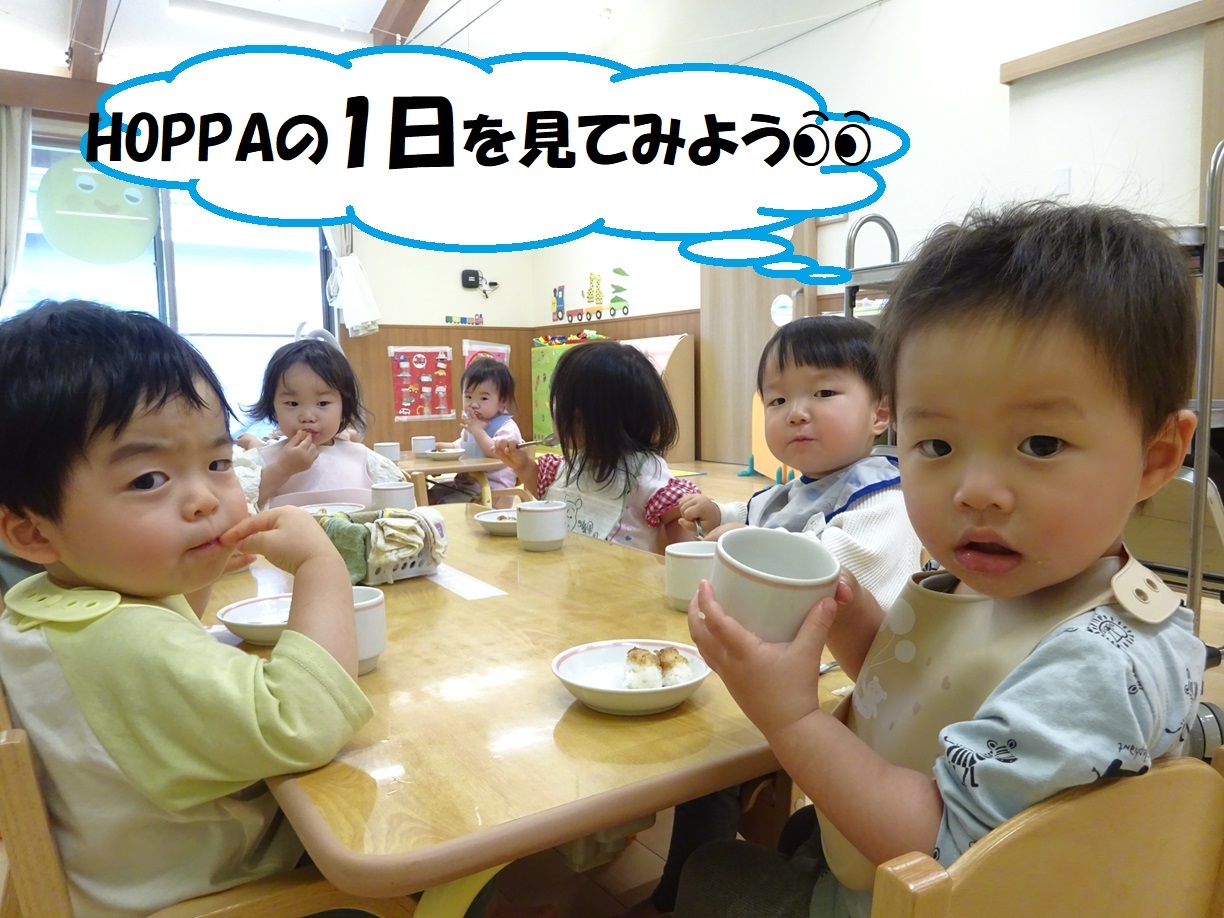 HOPPAの1日を見てみよう👀