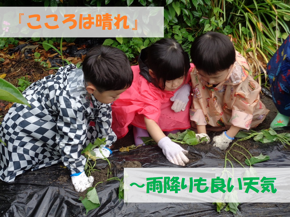 『こころは晴れ』〜雨降りも良い天気