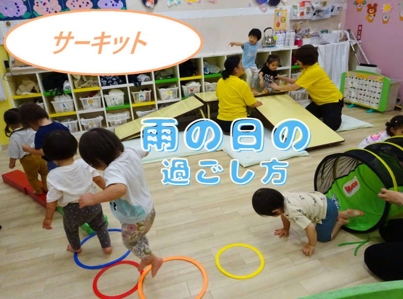 雨の日の過ごし方🐸