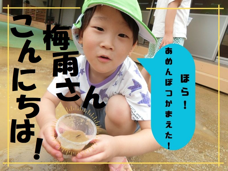 梅雨さん☔こんにちは！