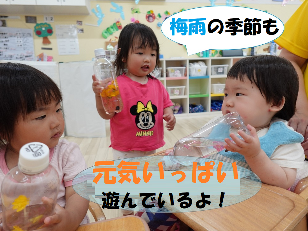 梅雨の季節も元気いっぱい遊んでいるよ！