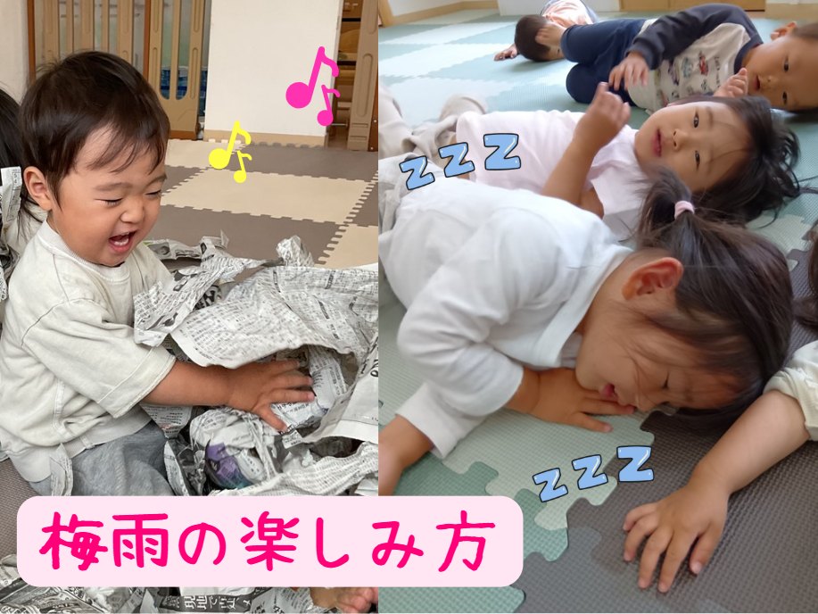 梅雨の楽しみ方☔