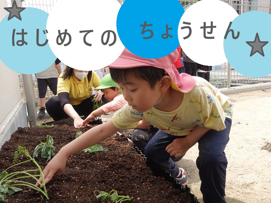 HOPPA伊丹千僧 ~伊丹キッズのんびりはたけ奮闘記~