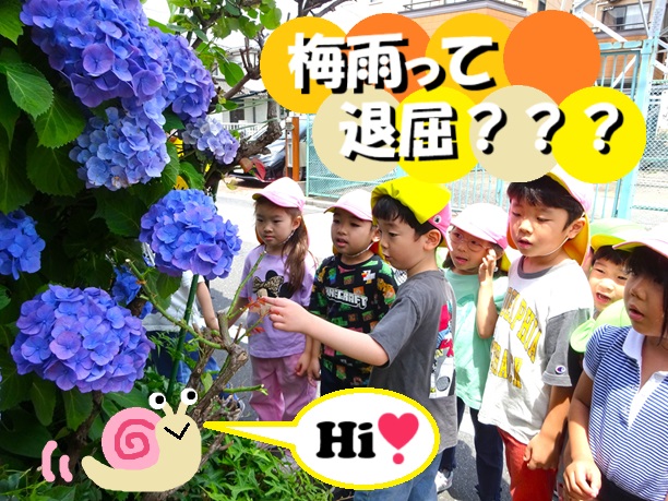 梅雨って退屈？？？
