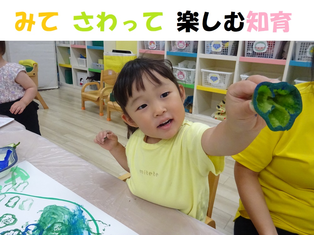 みて さわって たのしむ知育