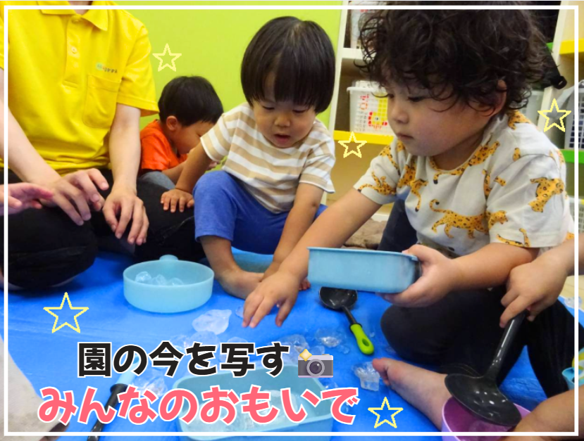 園の今を写す📸「みんなのおもいで」