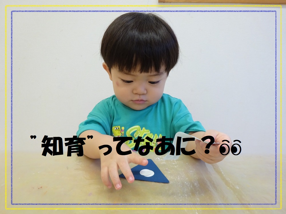 “知育”ってなぁに？👀