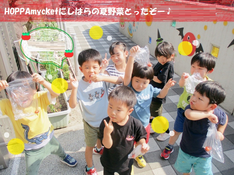 HOPPAmycketにしはらの夏野菜とったぞー🎵
