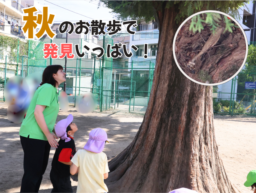 秋のお散歩で発見いっぱい!