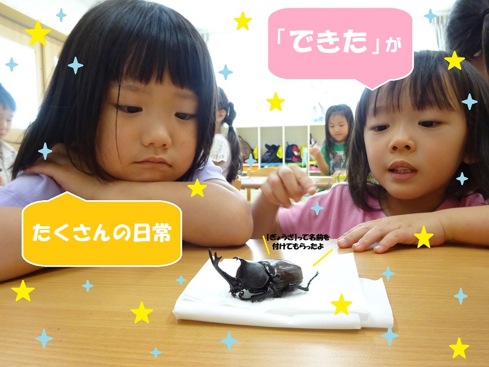 「できた」がたくさんの日常