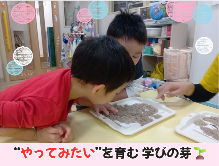 “やってみたい”を育む 学びの芽🌱✨