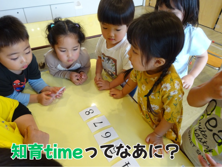 【動画あり】知育timeってなあに?No.2