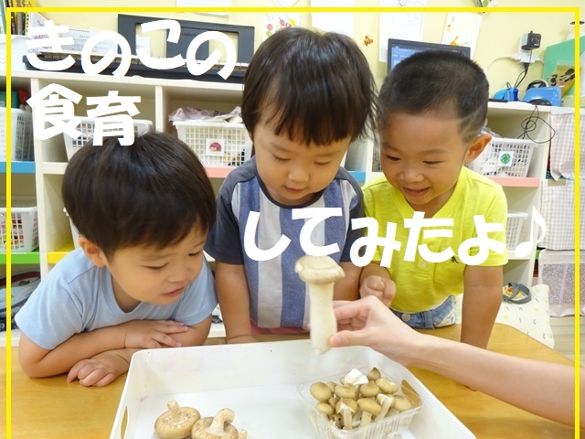 【動画あり】きのこの食育してみたよ♪