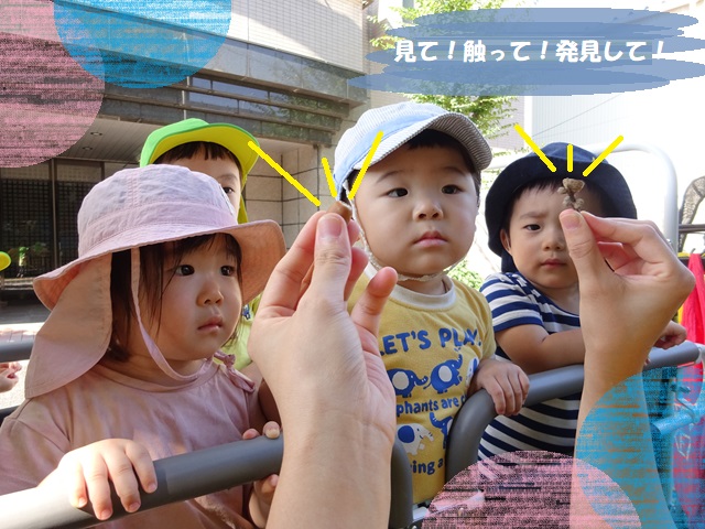 見て!触って!発見して!