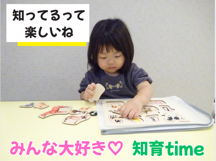 「知ってるって楽しいね」みんな大好き♡知育time