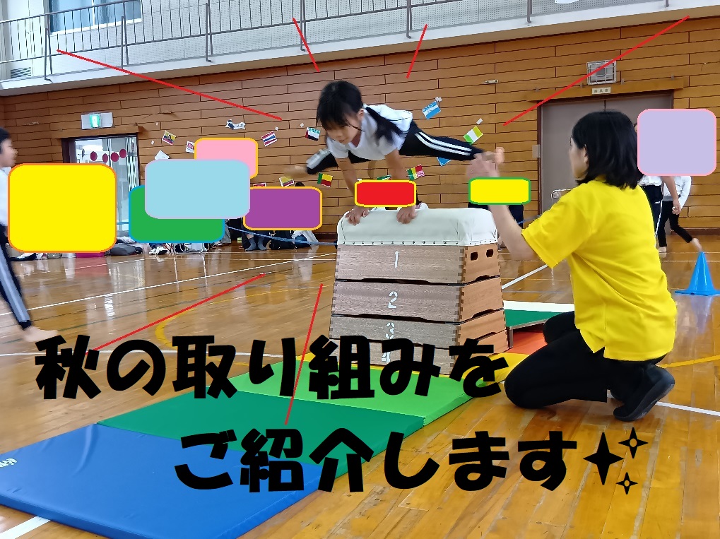 秋の取り組みをご紹介します🍂