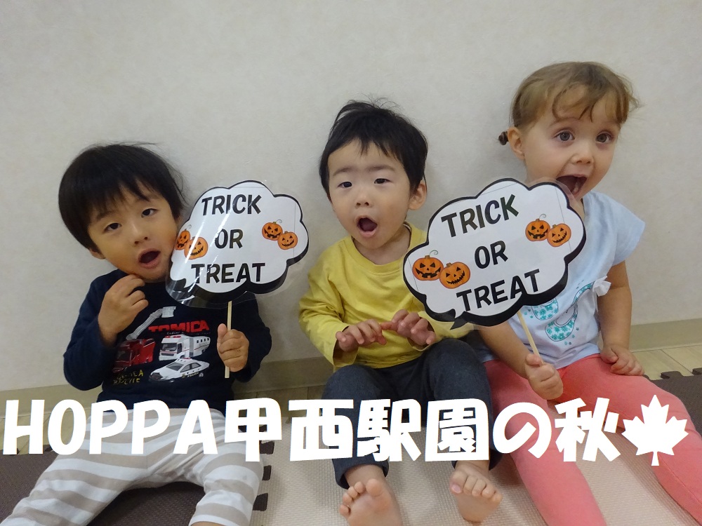 HOPPA甲西駅園の秋🍂