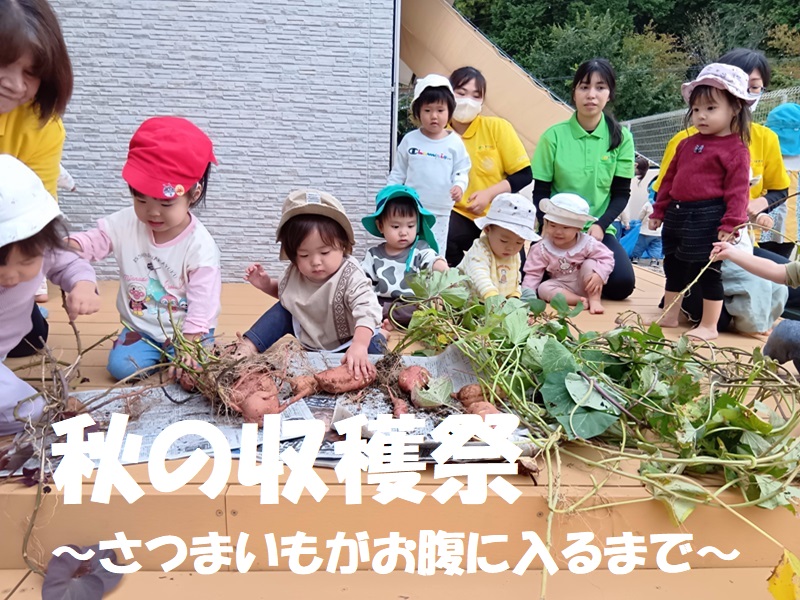 秋の収穫祭～さつまいもがお腹に入るまで～