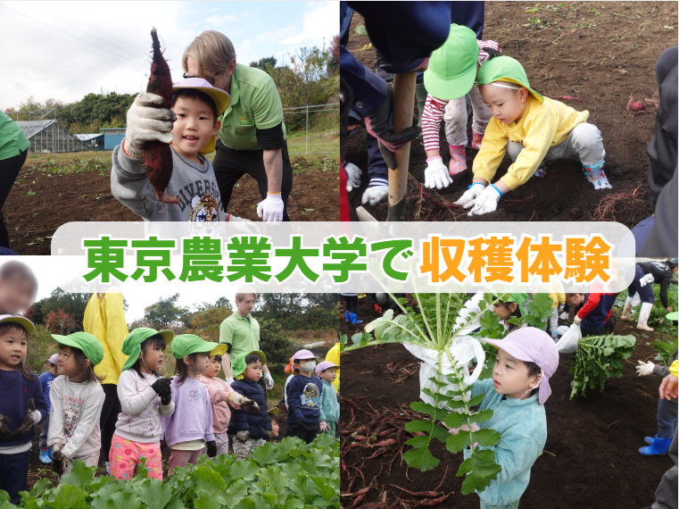 【HOPPA世田谷経堂】東京農業大学で“本物に触れる”秋の収穫体験🌱