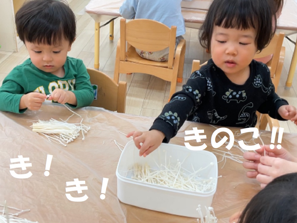 【動画あり】き！き！きのこ！！