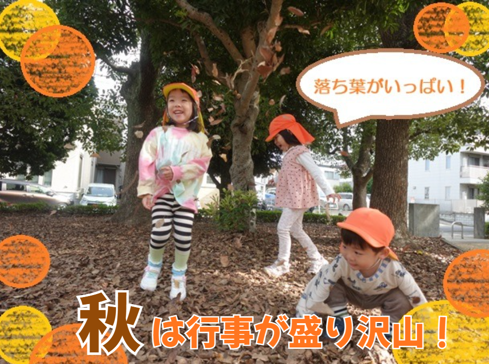 秋は行事が盛り沢山！