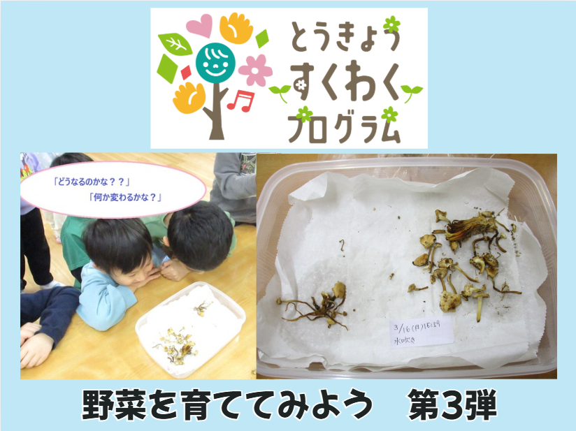 とうきょうすくわくプログラム　野菜を育ててみよう！第3弾【HOPPAおおじまタウン】