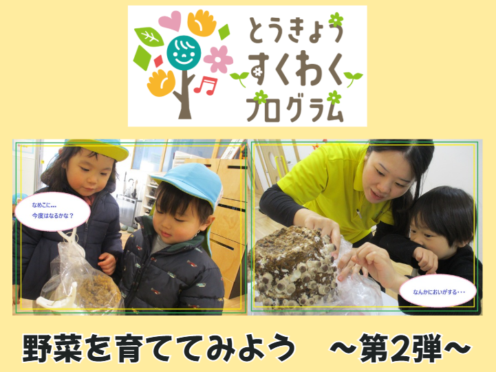 とうきょうすくわくプログラム　野菜を育ててみよう！第2弾【HOPPAおおじまタウン】