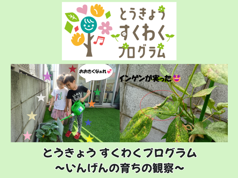 とうきょうすくわくプログラム～いんげんの育ちの観察～【HOPPA柳沢】