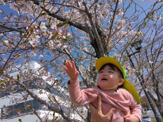 2026年度スタート