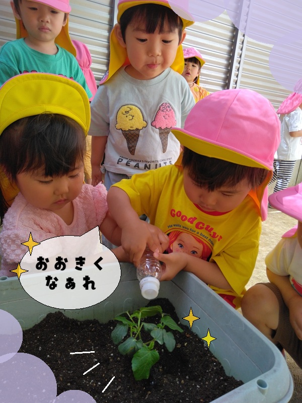 「おいしくなあれ！」異年齢で育てる夏野菜 🍅