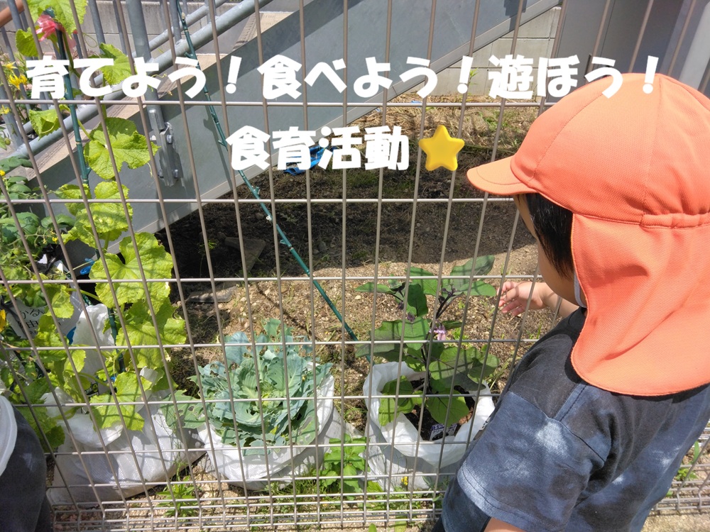 育てよう！食べよう！遊ぼう！食育活動⭐