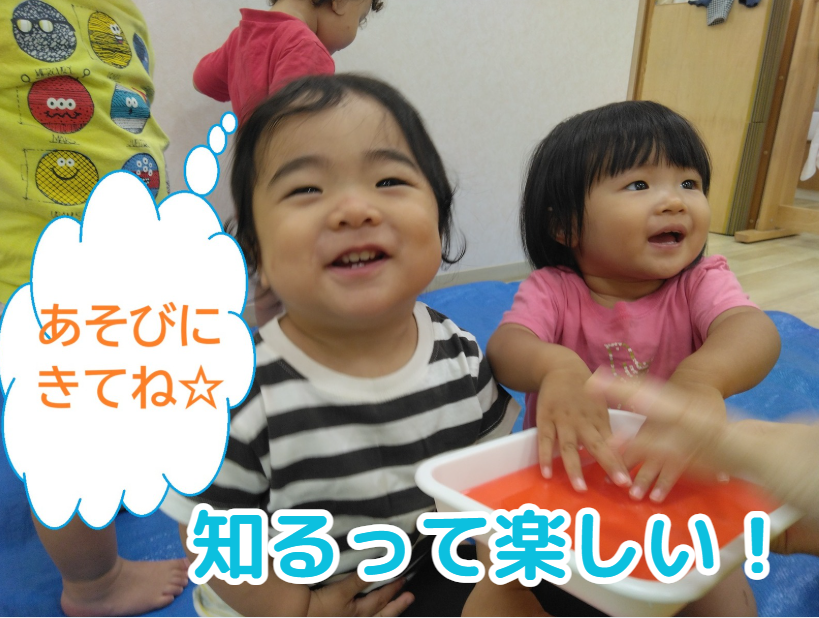 【動画あり】知るって楽しい！