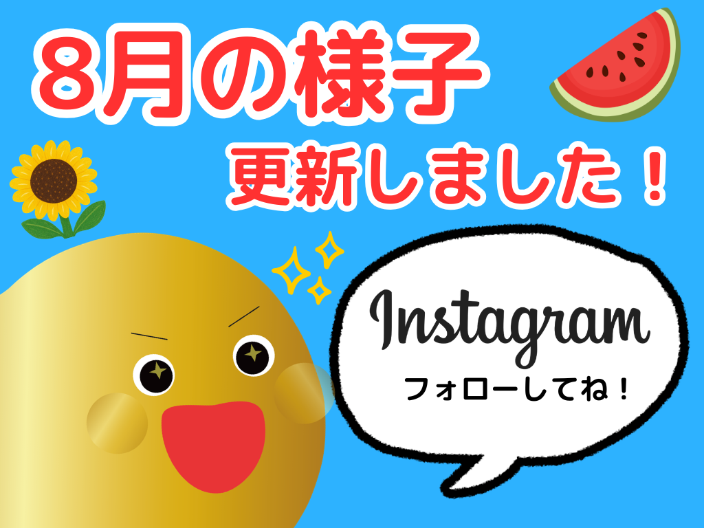 保育園の8月｜夏の水遊びや夏祭りを全力で楽しむ子どもたちの毎日をInstagramで発信中【HOPPAともひがし】