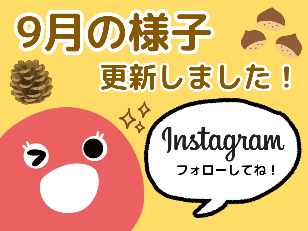 保育園の9月｜秋の訪れを感じながら遊ぶ子どもたちの毎日をInstagramで発信中【HOPPA灘園】